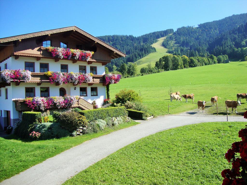 Sixenhof Lägenhet Niederau Exteriör bild
